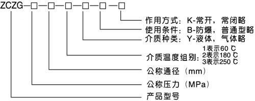 ZCZG/ZCZH高溫高壓電磁閥型號編製說明